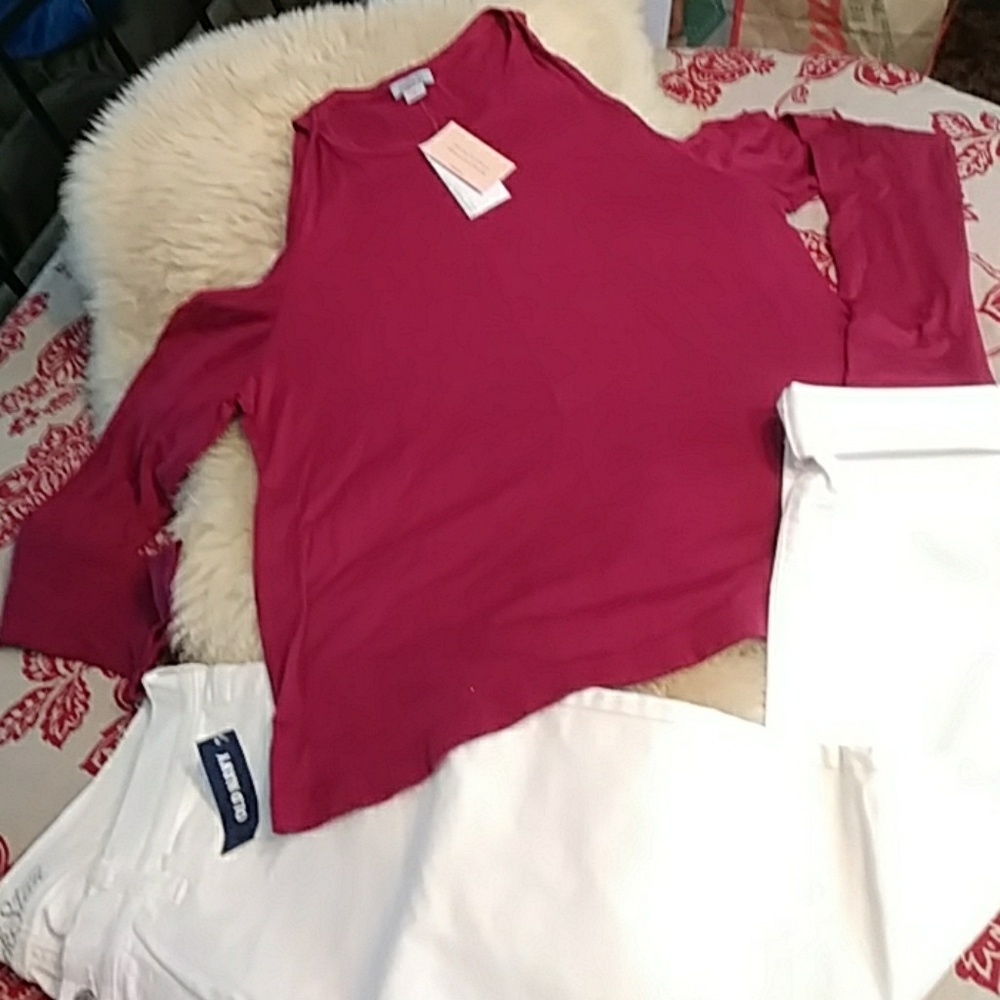 Chelsea sky pink cold shoulder 4xl NWT